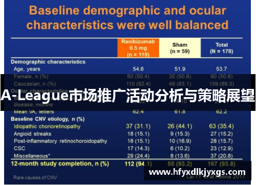 A-League市场推广活动分析与策略展望